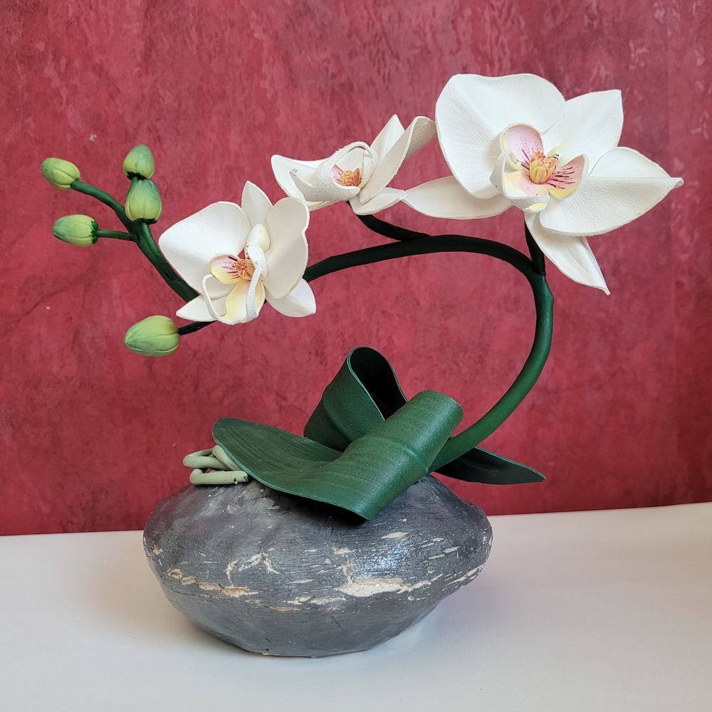 Orchidée en pot