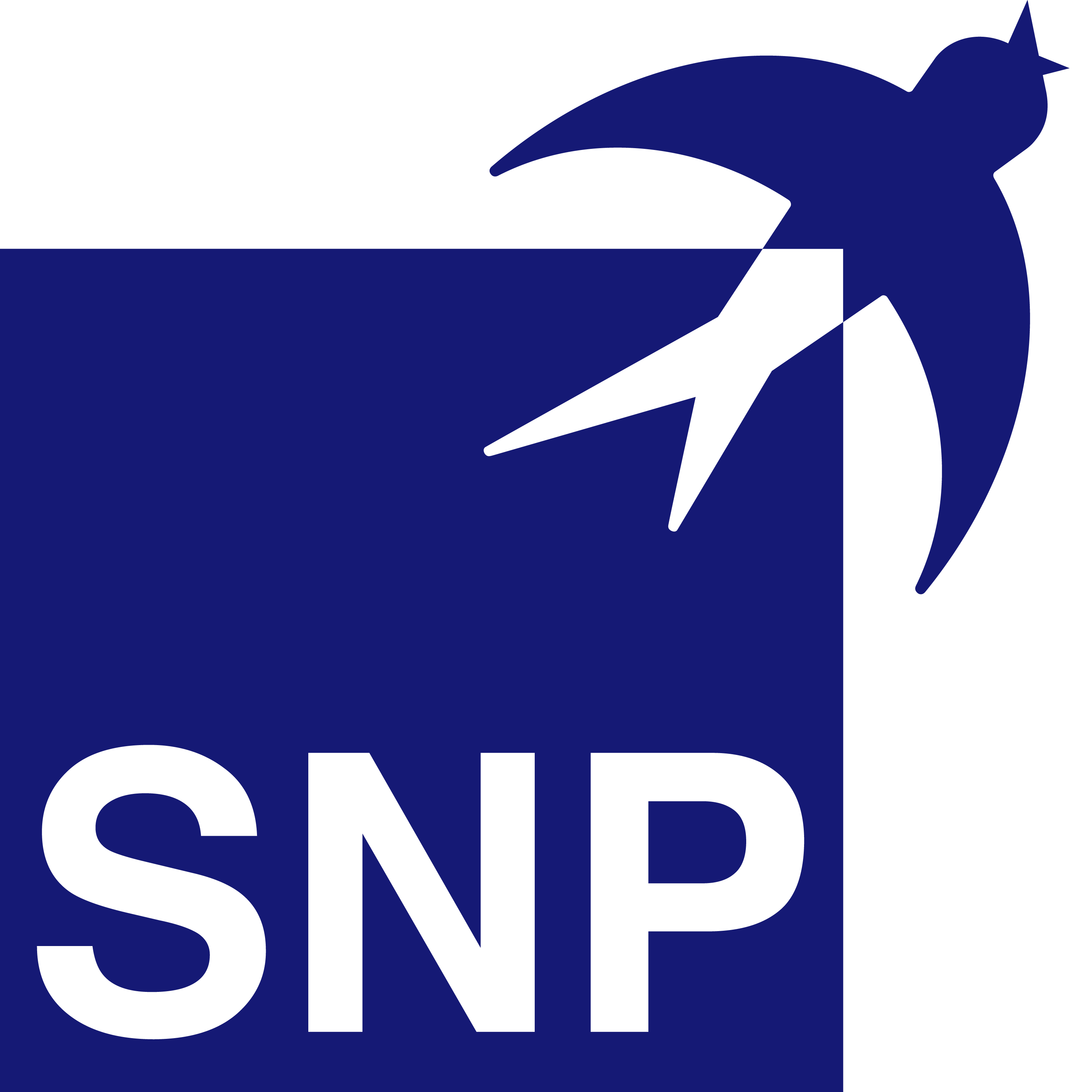 SNP GROUP
