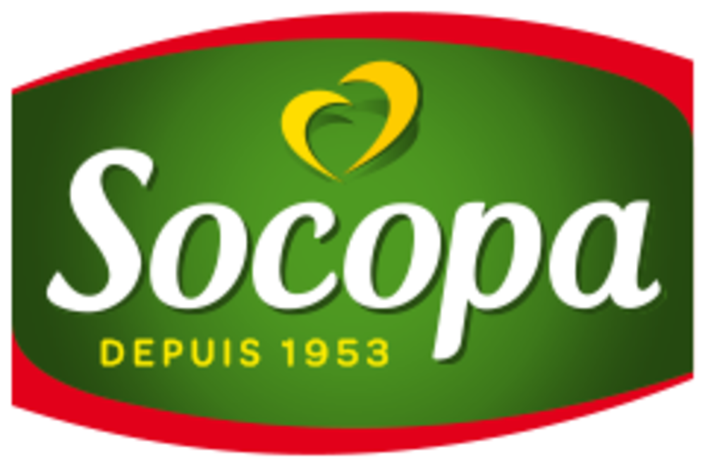 Socopa