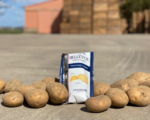 313976	chips au sel de l’île de Ré La flamande