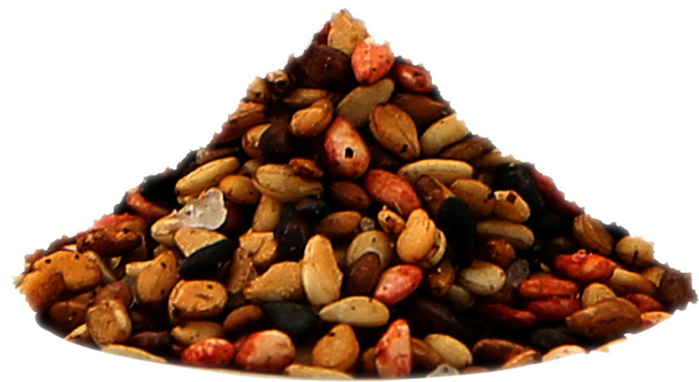 278931	Gomasio en sachet 500 g TERRE EXOTIQUE