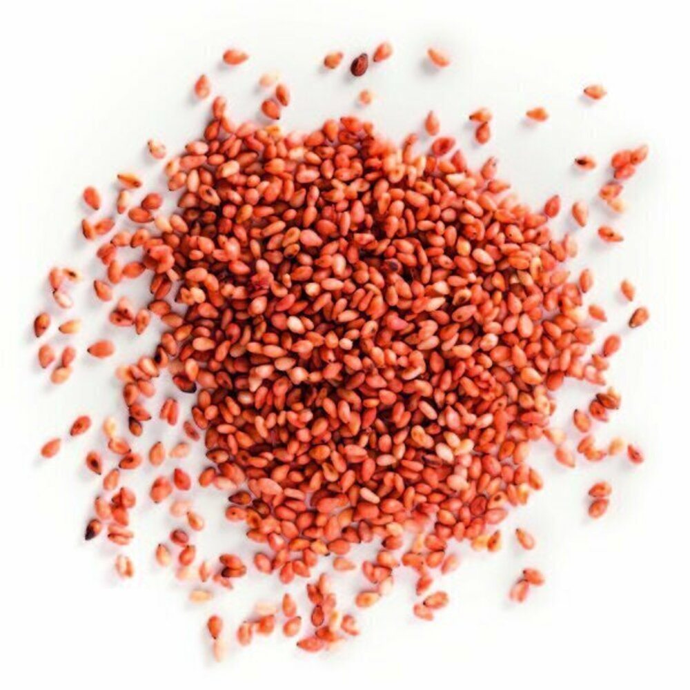 93725 Graine de sésame à la prune en sachet 250 g TERRE EXOTIQUE