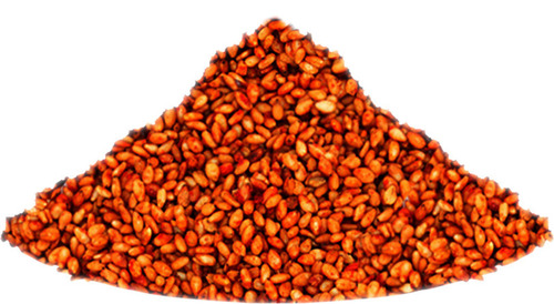 287087 Graine de sésame au curry en sachet 500 g TERRE EXOTIQUE