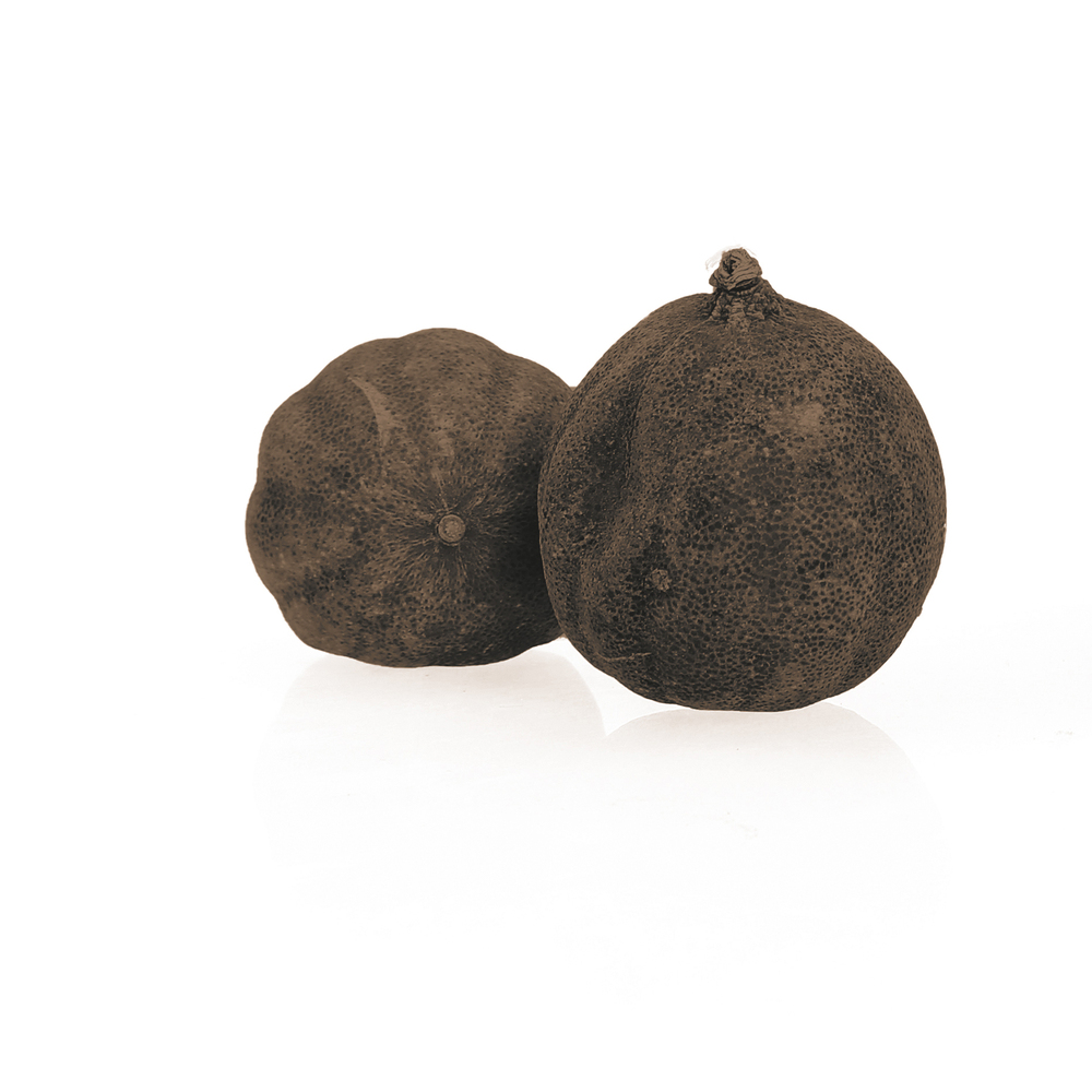 244923 Citron noir séché en sachet 100 g TERRE EXOTIQUE