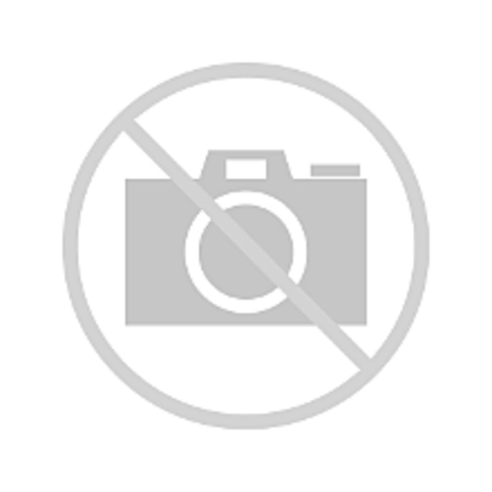 0252911 - Tomahawk bœuf IRL 1KG 