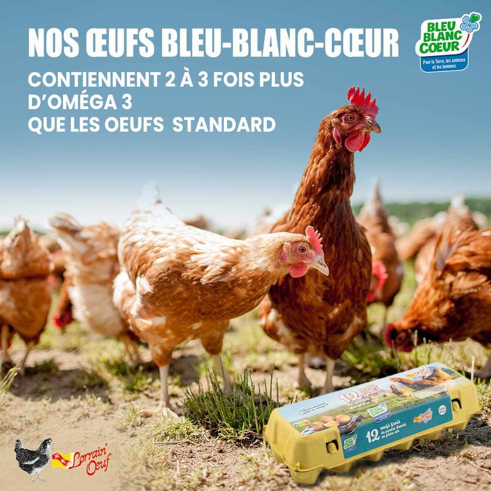 Caisse de 90 oeufs Bleu-Blanc-Coeur