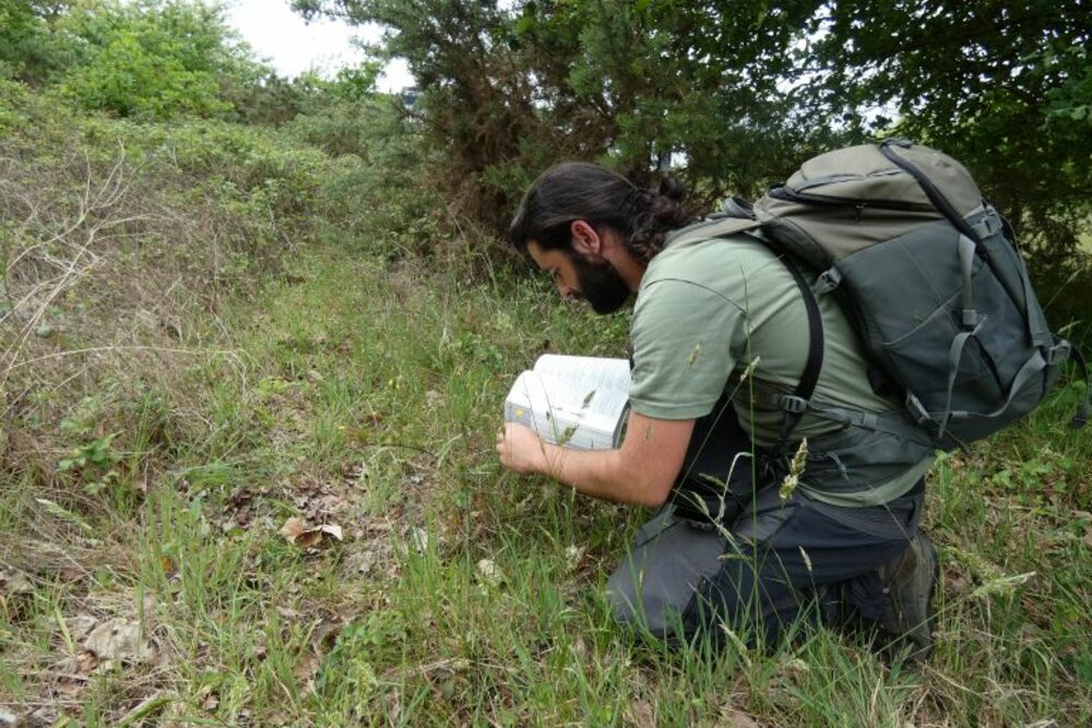 Ingénieur(e) Environnement - Naturaliste Faune