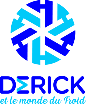 DÉRICK ET LE MONDE DU FROID