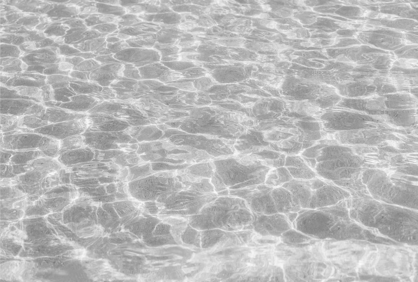 Reasonology: Why Realism, Transparency and Common Sense are Paramount Today