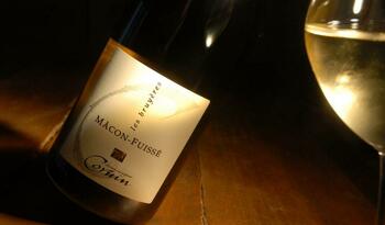 EARL CORNIN Dominique