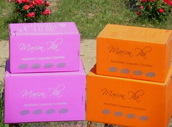 EARL Domaine Marion Pla