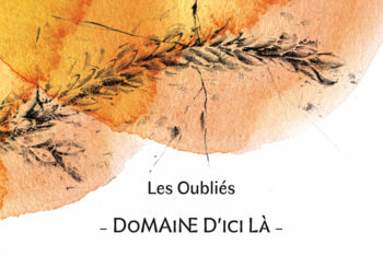 EARL Domaine D'ici là