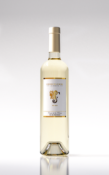 DOMAINE DE FONSCOLOMBE