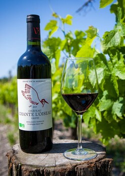 SCEA VIGNOBLES BARRON