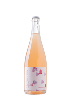 CANTINE TORRE DI BOCCA SCARL