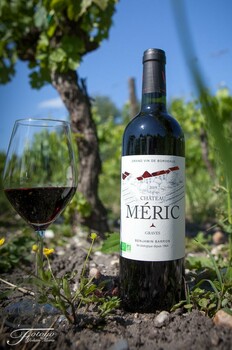 SCEA VIGNOBLES BARRON