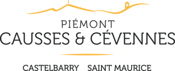 Saint Maurice le Piémont des Cévennes