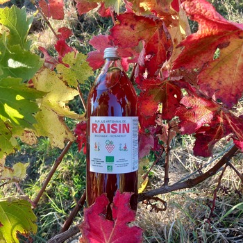 SCEA François VERDIER