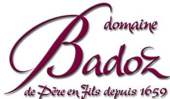DOMAINE BENOIT BADOZ