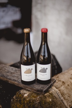 EARL Vignobles Lacoste