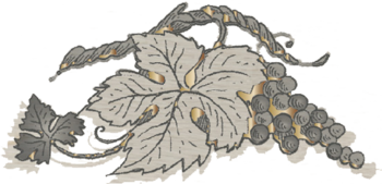 SCEA Domaine La Coste du Puy