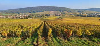 Domaine des roches novae