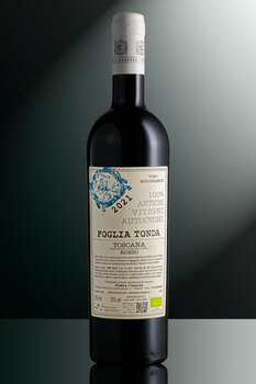 Podere Casaccia di Moretti e Mori Lucia s.s.