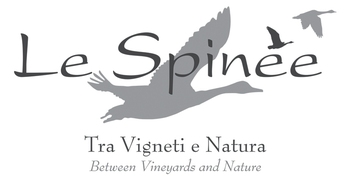 Azienda Agricola Durante