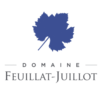 SCEV DOMAINE FEUILLAT-JUILLOT