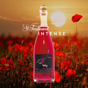 EARL MARCELLE ET PARCELLE