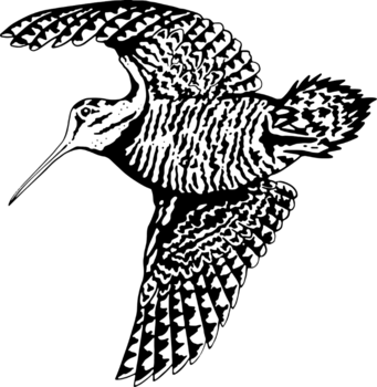 SCA Domaine de La Mordorée