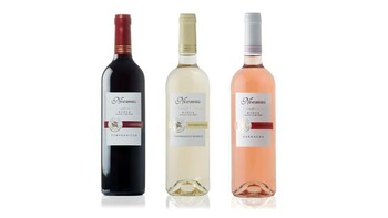 SC SERRANO ARRIEZU ANDRES MIGUEL Y JOSE RAMON