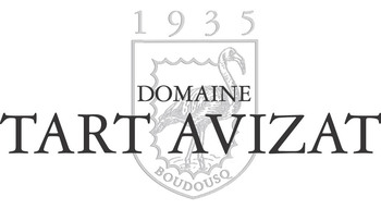 TART AVIZAT