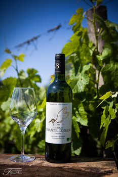 SCEA VIGNOBLES BARRON