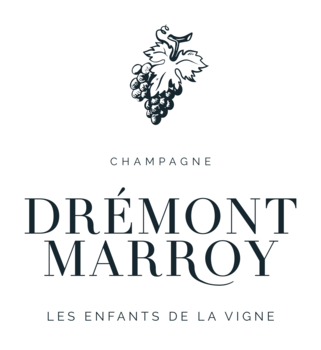 LES PERLES DE SAINT JEAN