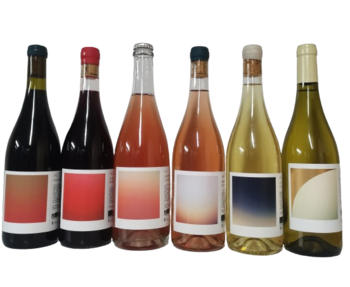 SCEA Vignobles lacoste