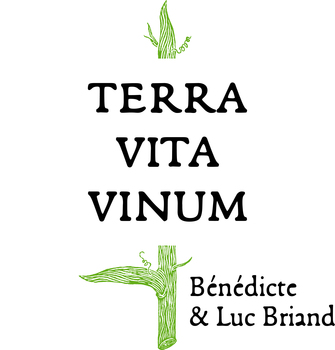 SAS TERRA VITA VINUM