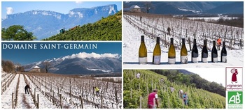 Domaine Saint-Germain