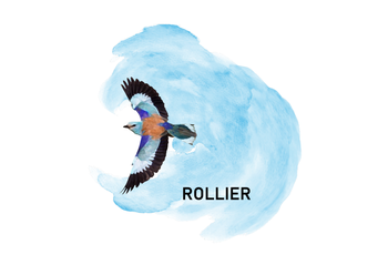 EARL Marie-Pierre  Plumet d'Ardhuy