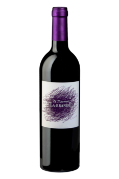 FAMILLE TODESCHINI SAS