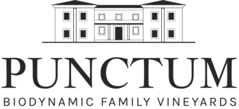 DOMINIO DE PUNCTUM S.L.U.