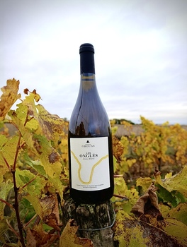 SCEA DOMAINE DES GROUAS