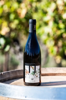 BERARD DE MALAVAS Loïc