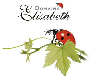 Les Vignobles Arrivé