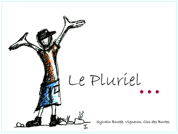 Sylvain Boutée / Clos des Boutes