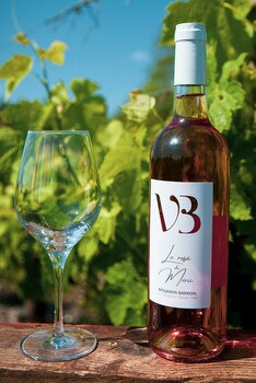 SCEA VIGNOBLES BARRON