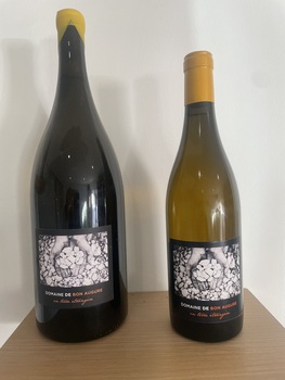 DOMAINE DE BON AUGURE