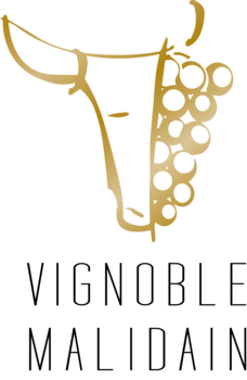 VIGNOBLE MALIDAIN
