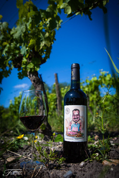 SCEA VIGNOBLES BARRON