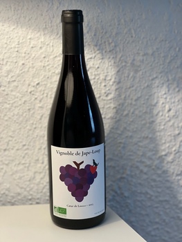 Vignoble de Jape-loup